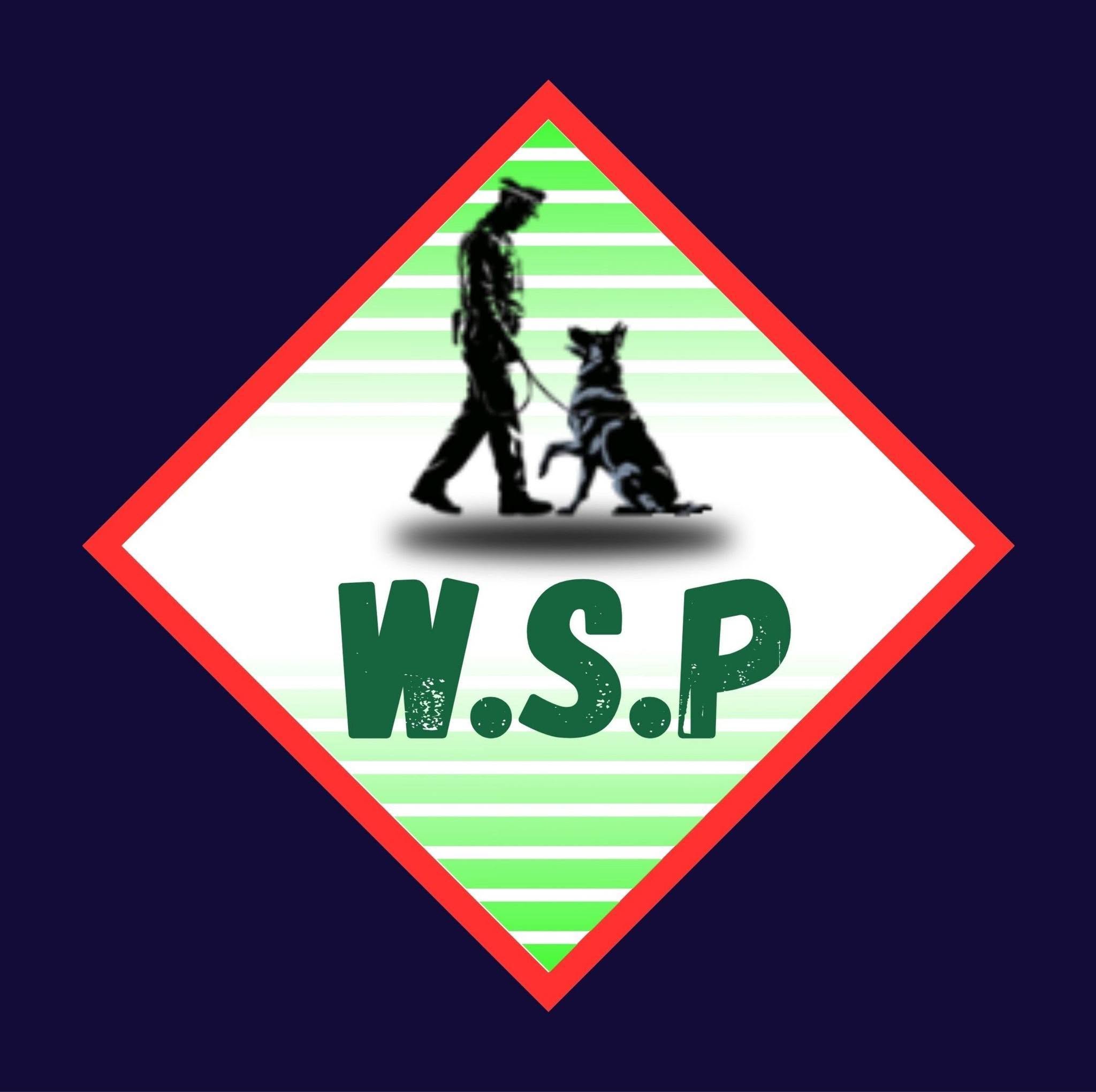 Watt Security